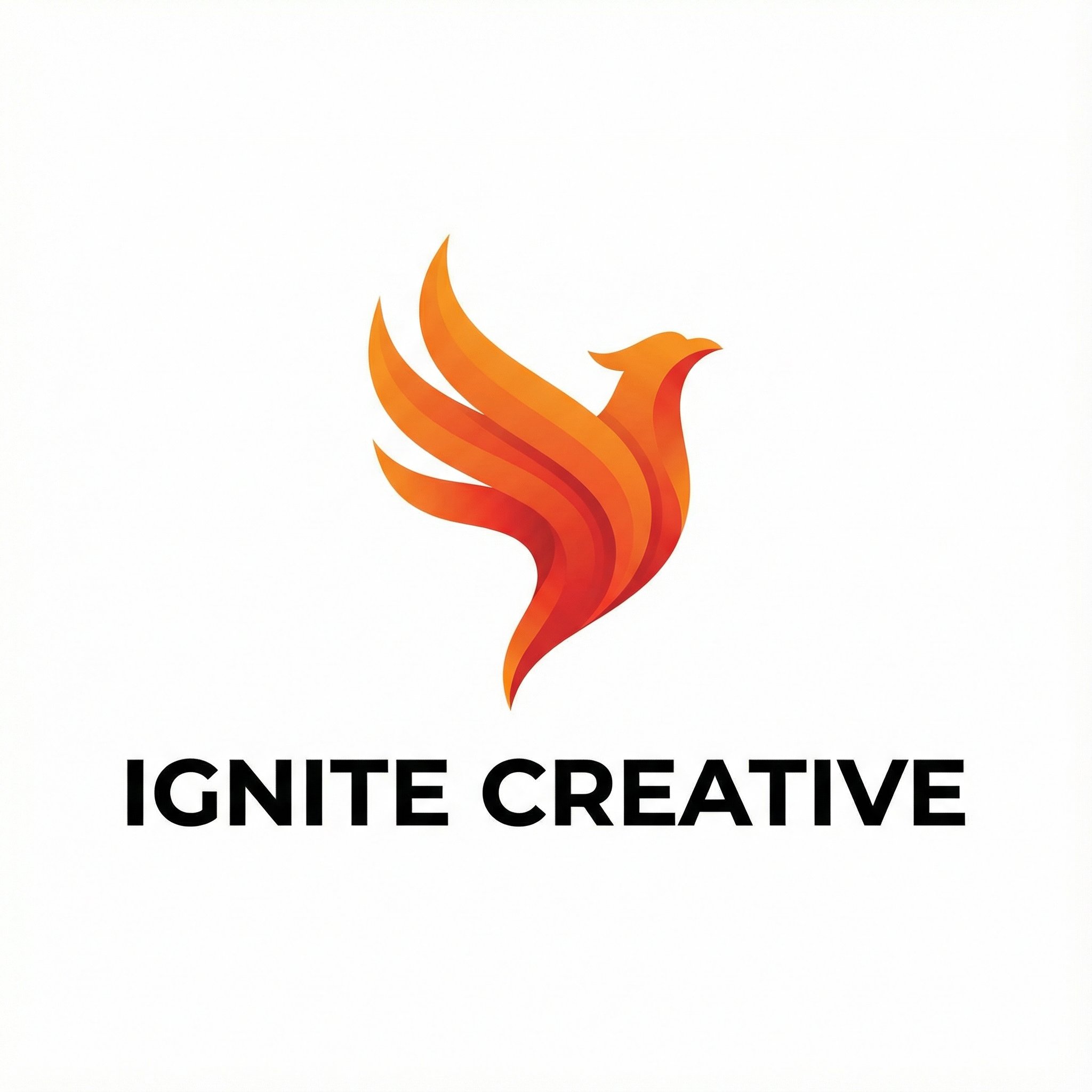 瓜老师合作伙伴